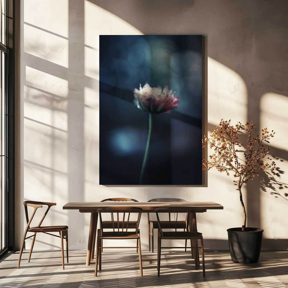 Dauwgekuste bloesem | Canvas