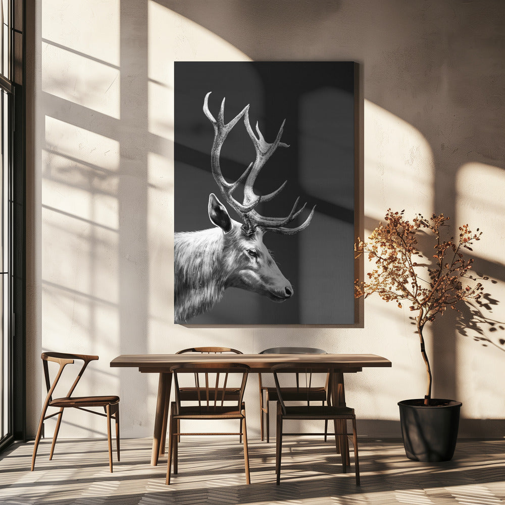 Rendier | Canvas