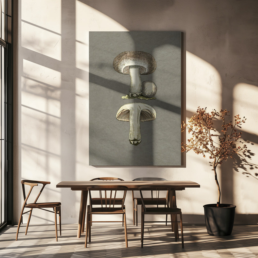 Veldpaddestoel | Canvas