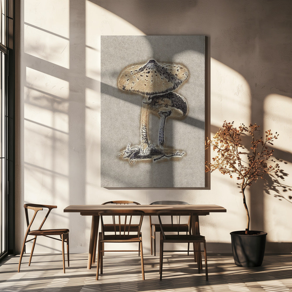 Handgetekende parasolzwam bruin | Canvas