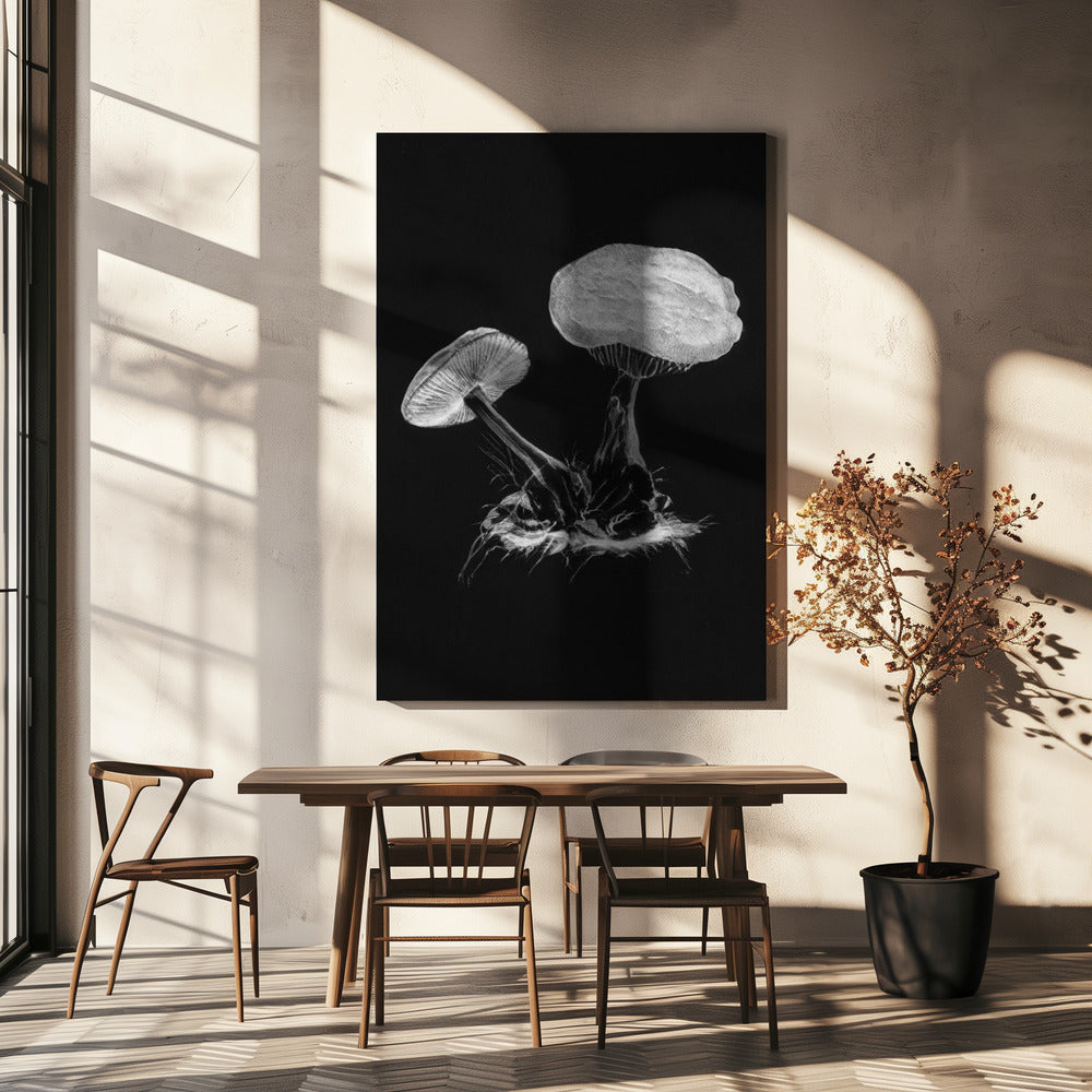 Vintage Violet Webcap Mushroom Donker Zwart | Canvas