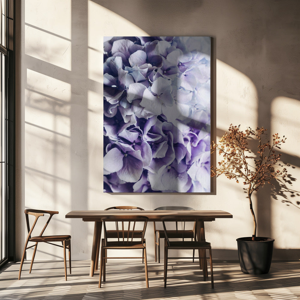 Vibrant Purple Hydrangea Flowers | Canvas