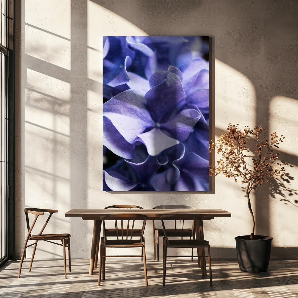 Delicate paarse hortensiablaadjes | Canvas