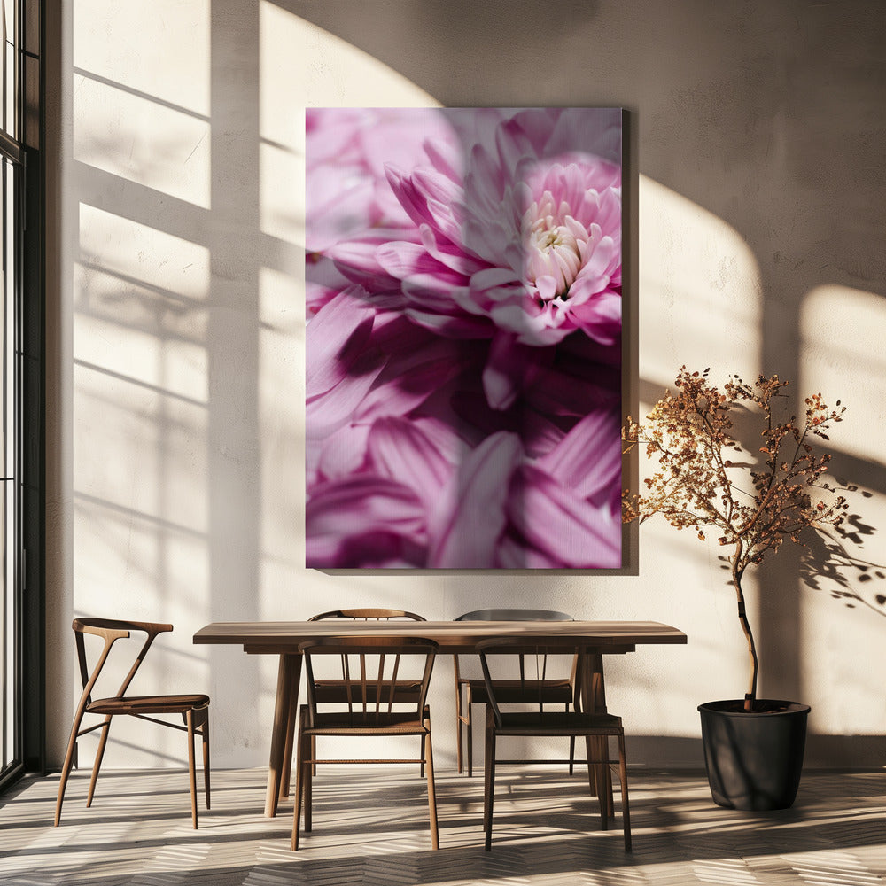 Roze Bloemblaadjes Symfonie | Canvas