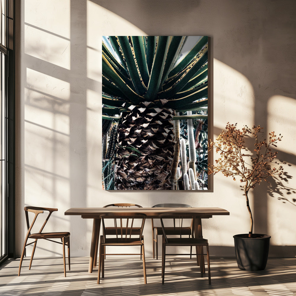 Cactus Plant | Canvas