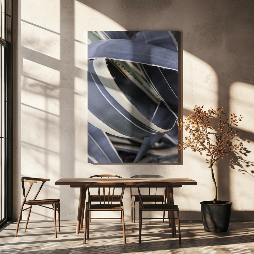 Agavekransen | Canvas