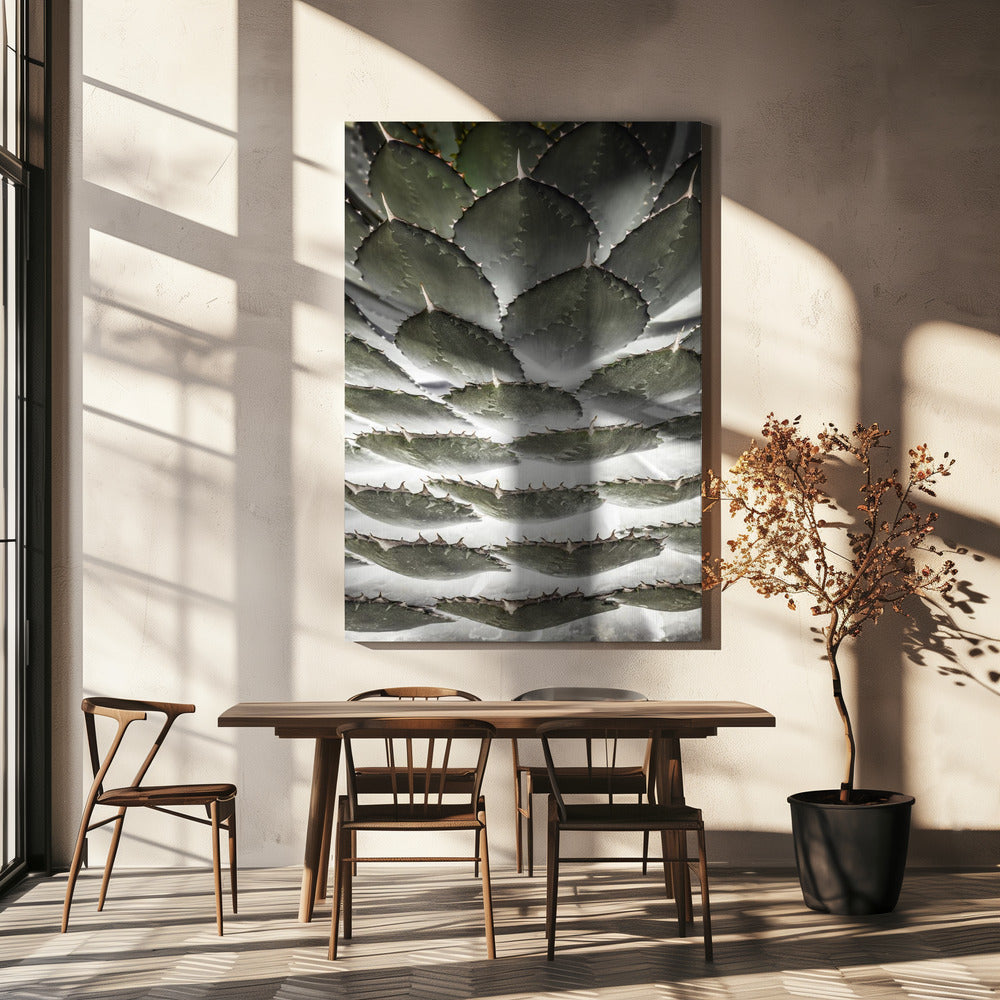 Spiral Succulent | Canvas