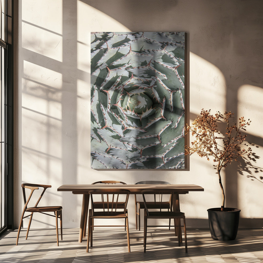 Spiraalvormig vetplantendoolhof | Canvas