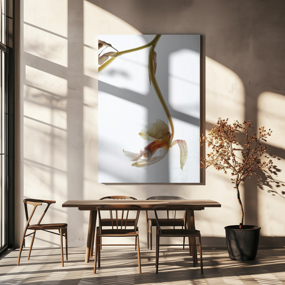 Elegant verval | Canvas