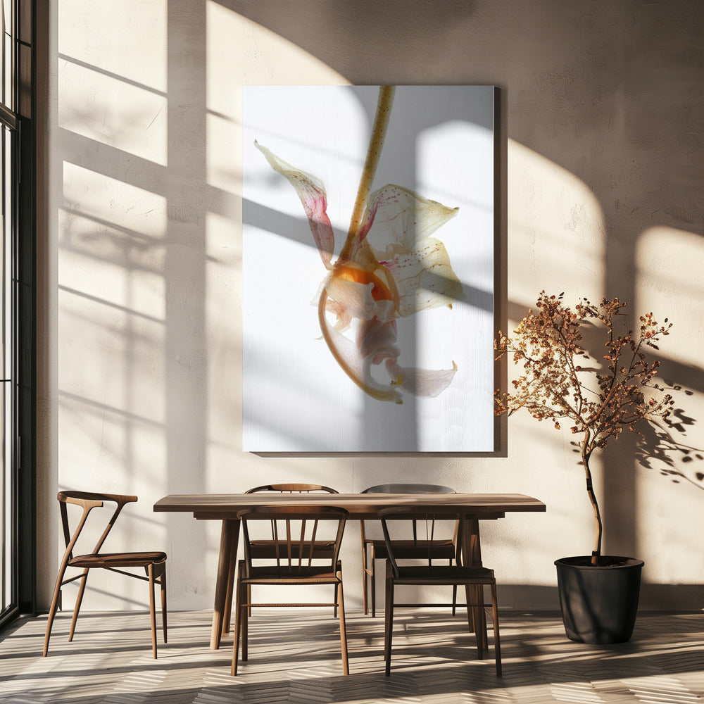 Bloemblaadjessymfonie | Canvas