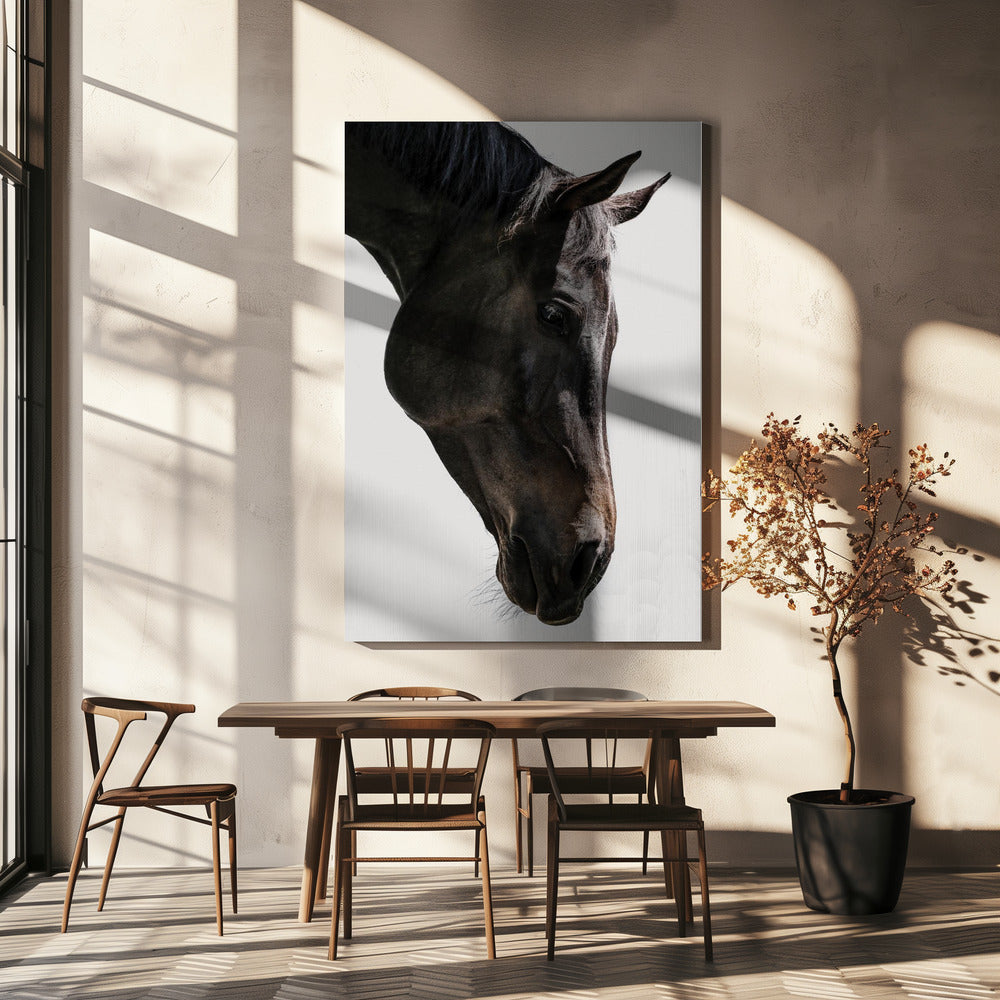 Gentle Equine Gaze | Canvas