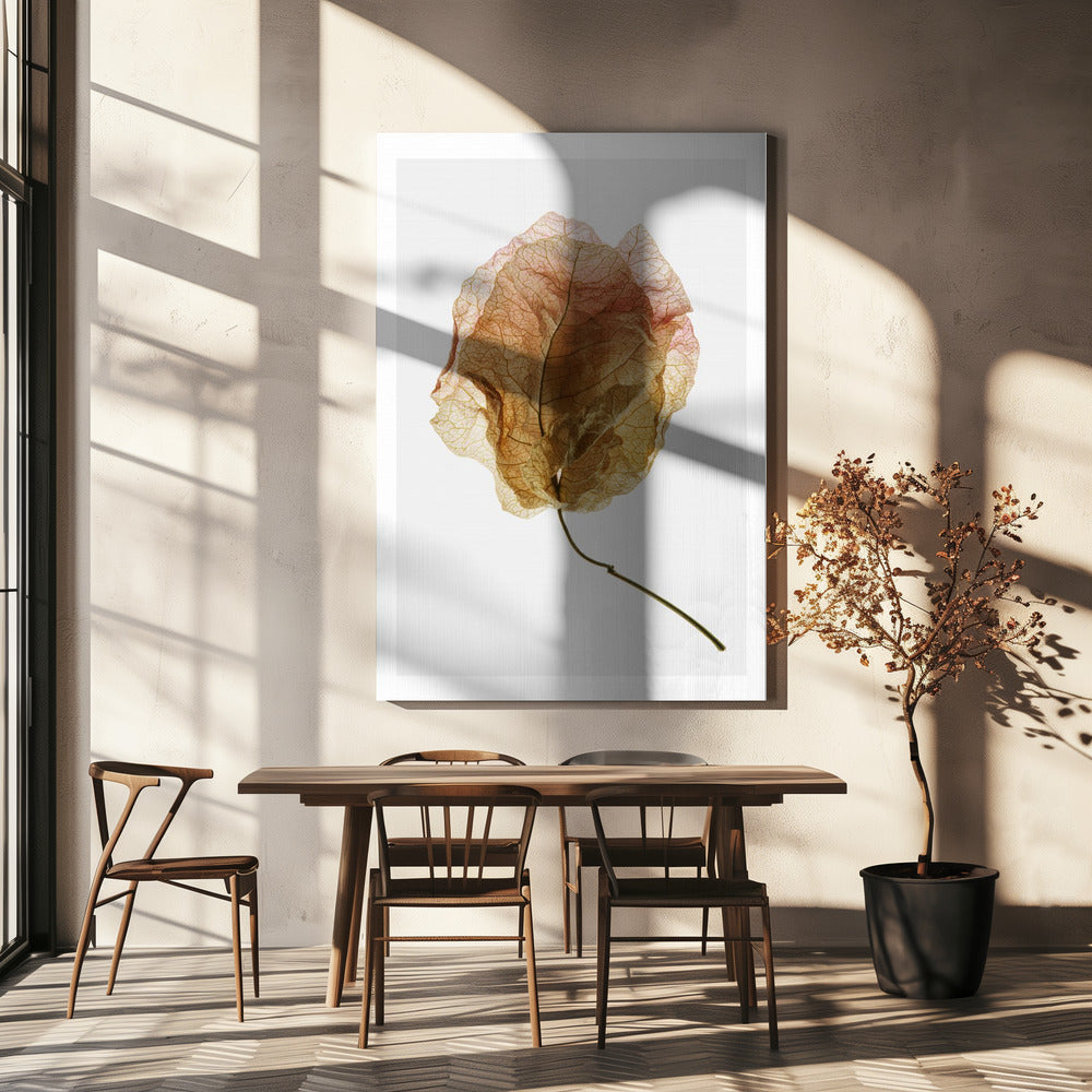 Geaderde elegantie | Canvas