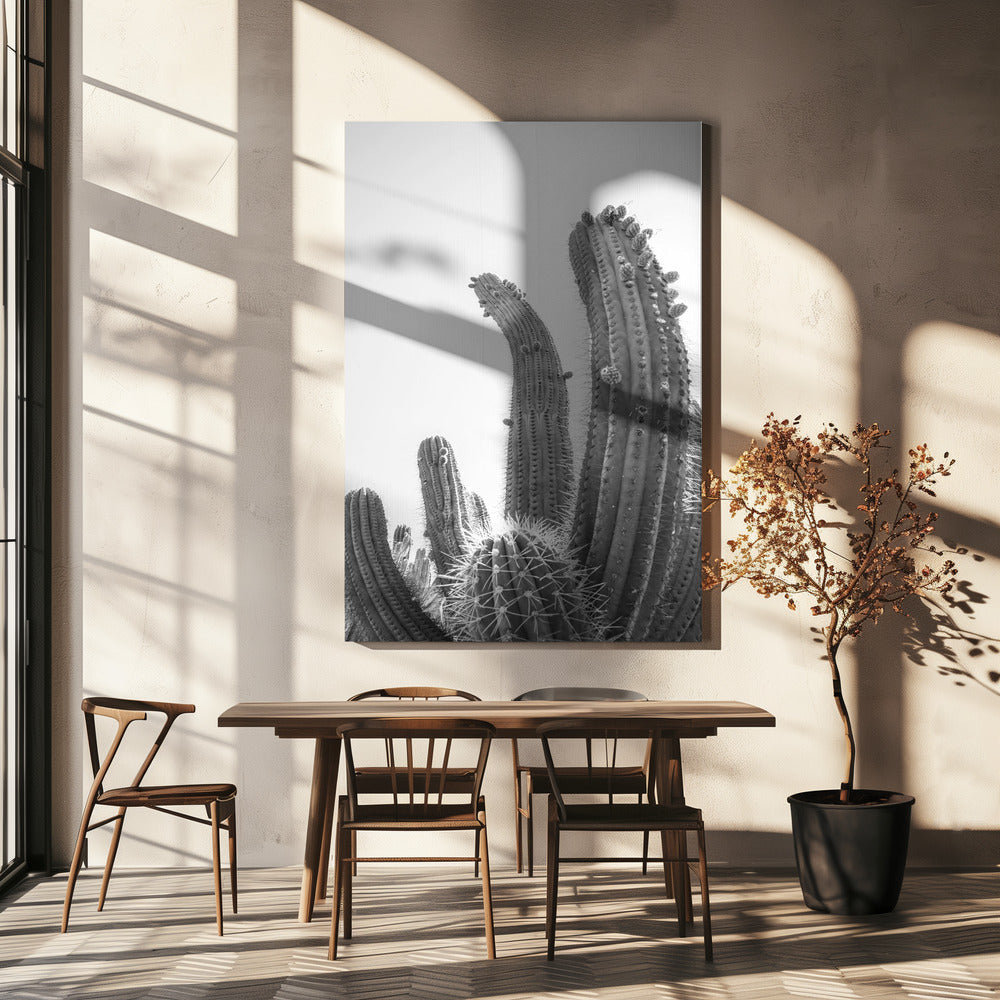 Woestijnreuzen | Canvas