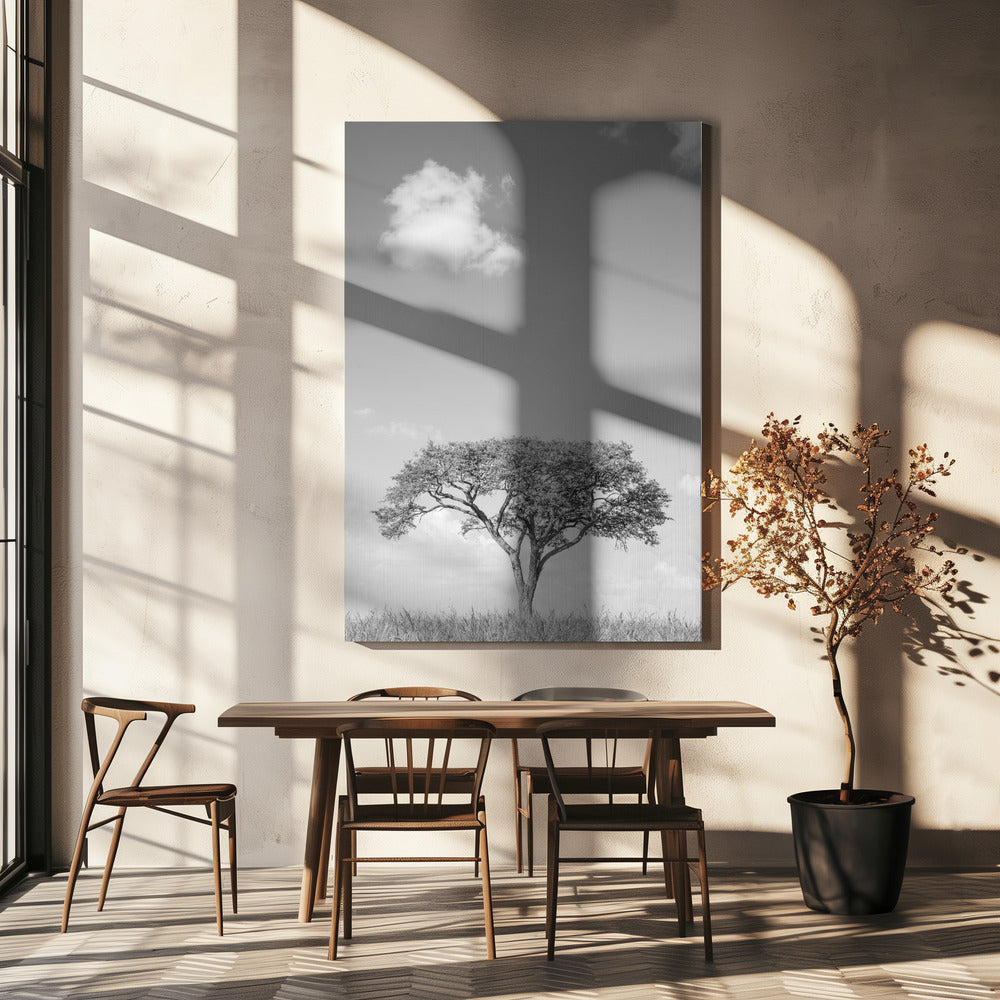 Dromen van een eenzame boom | Canvas