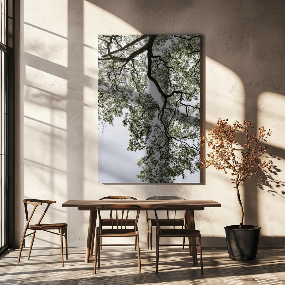 Ethereal Canopy | Canvas