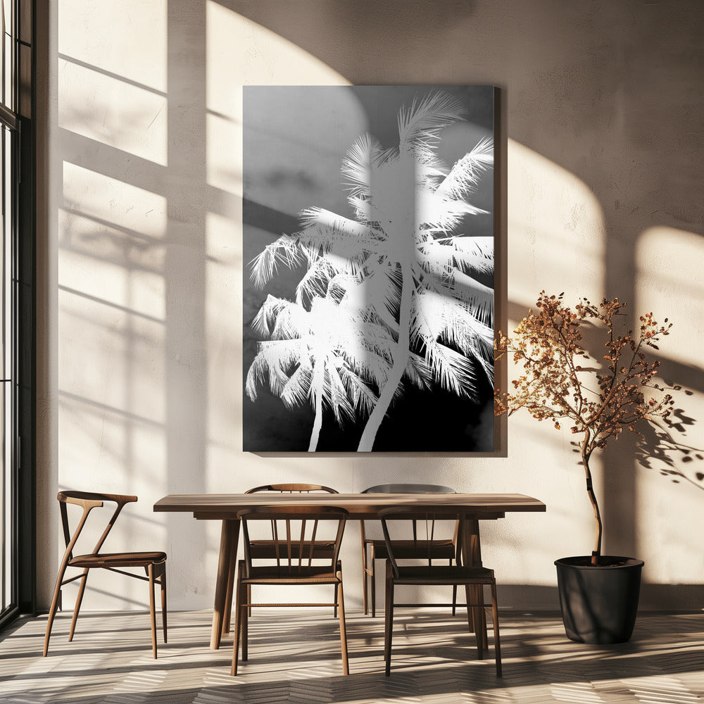 Inverted Palms | Canvas