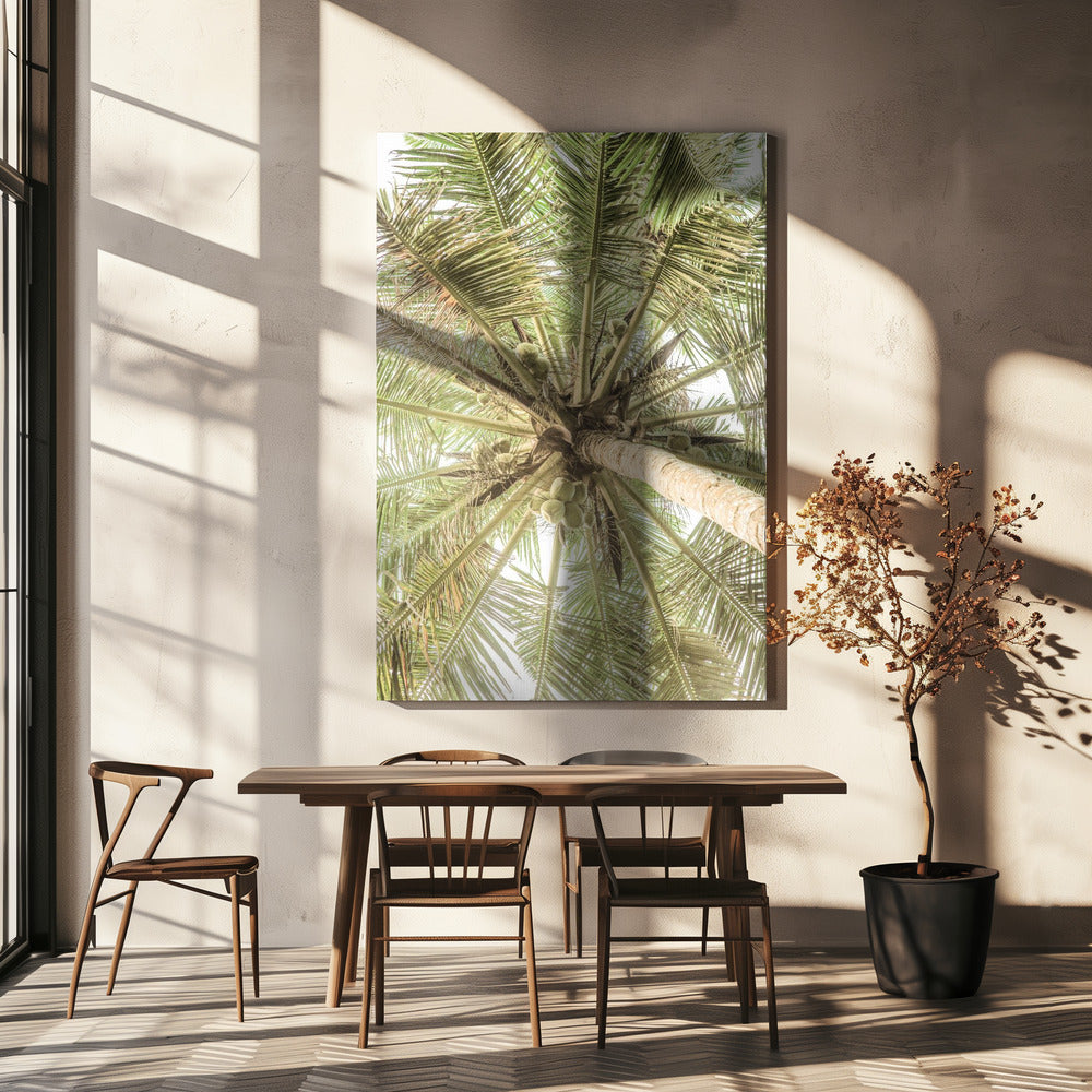 Kokosnootluifel | Canvas