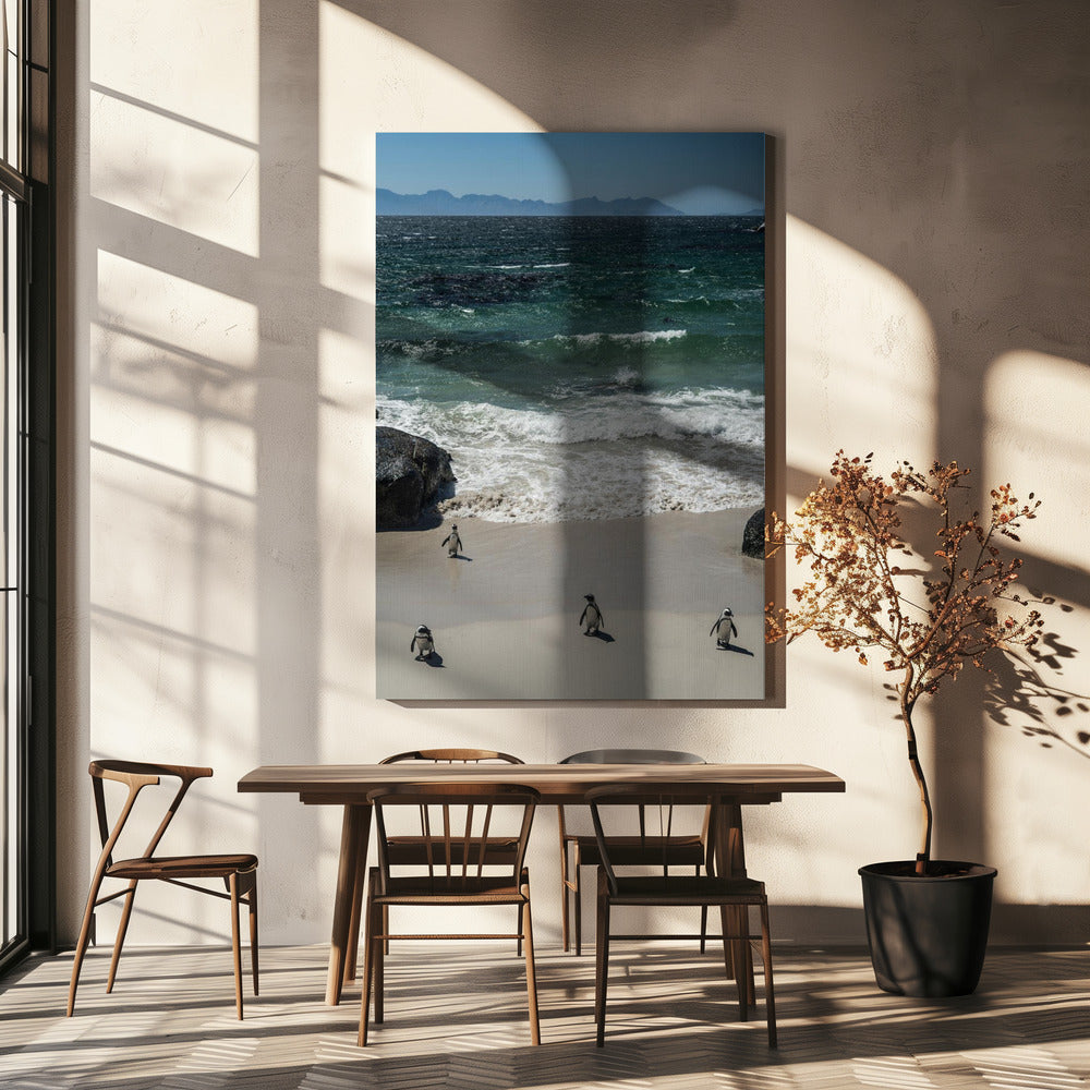 Pinguïn strandwandeling | Canvas
