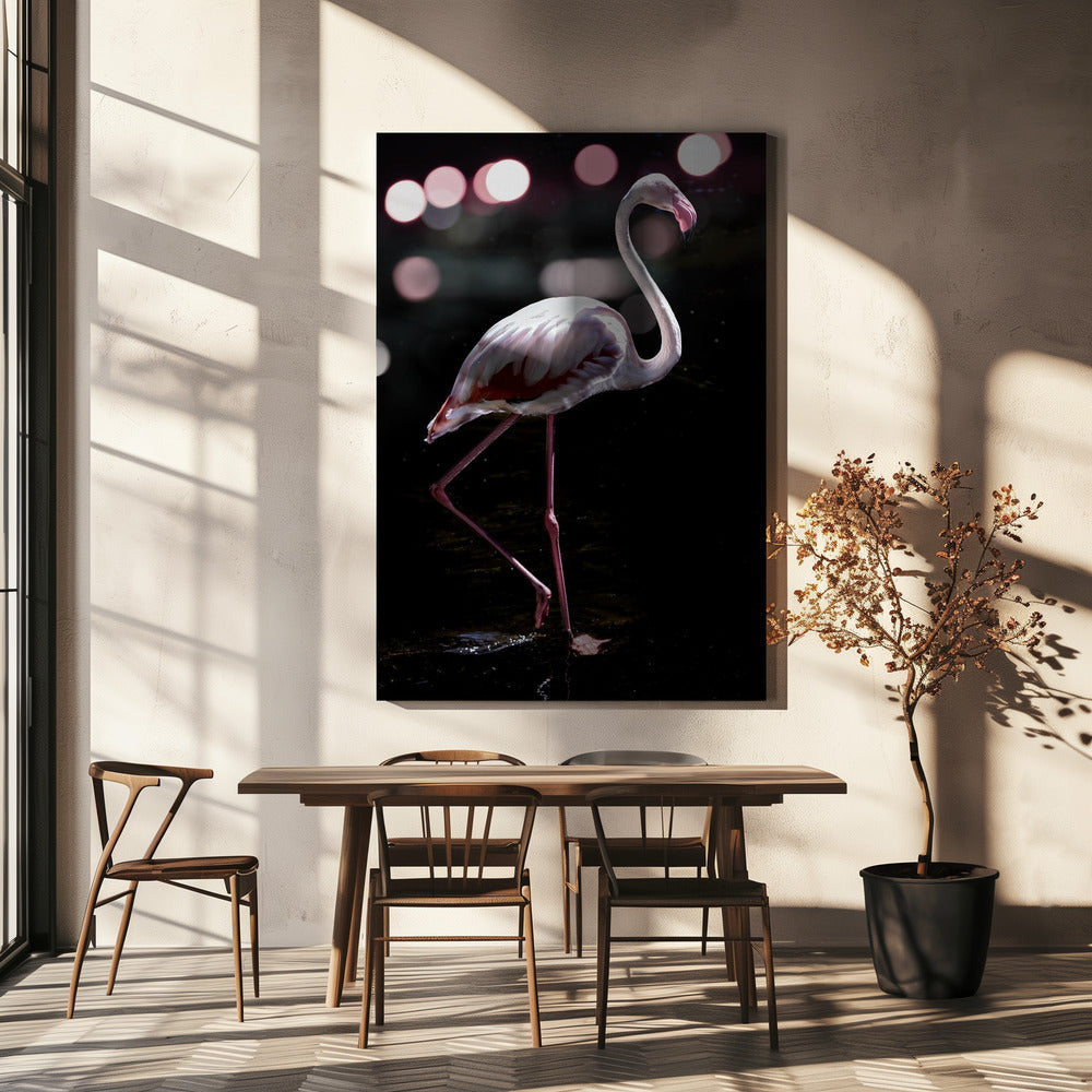 Elegant Flamingo | Canvas
