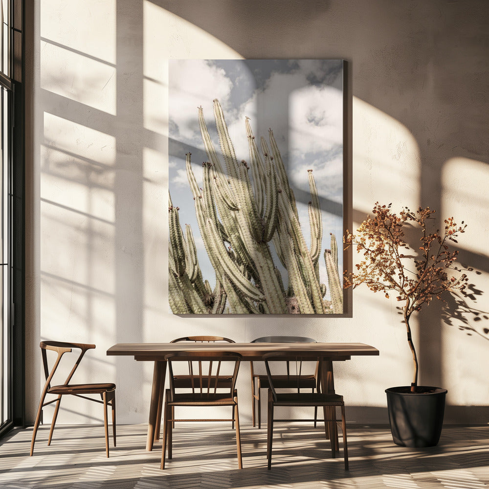 Woestijnwachters | Canvas