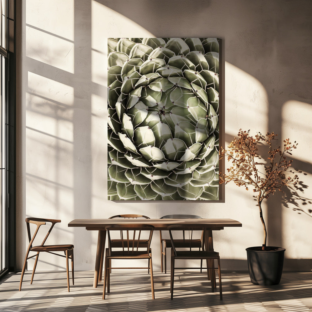 Geometrische vetplant | Canvas