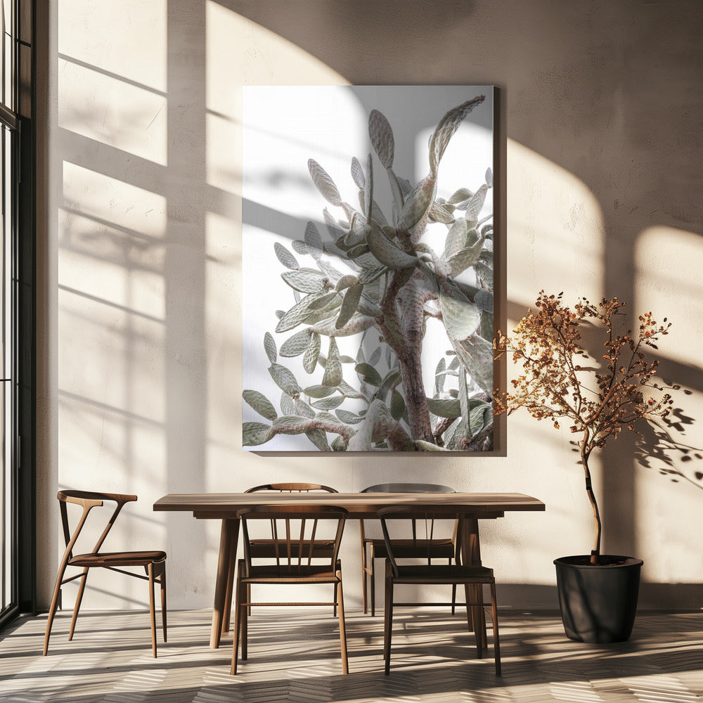 Cactus Fluisteringen | Canvas
