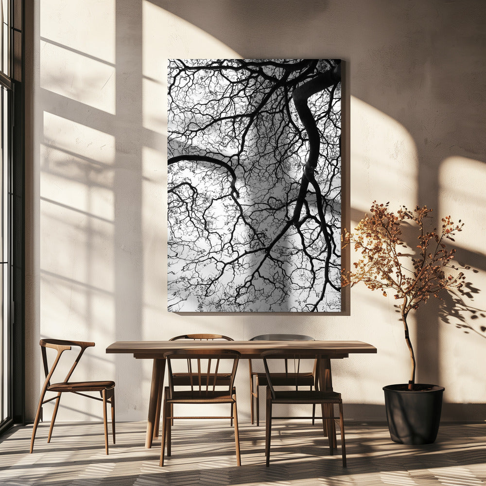 Dans van de takken | Canvas