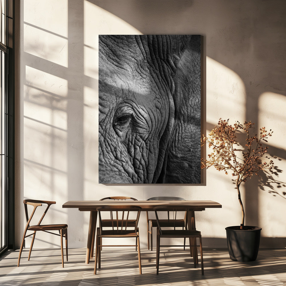 Rimpels van de wijsheid | Canvas