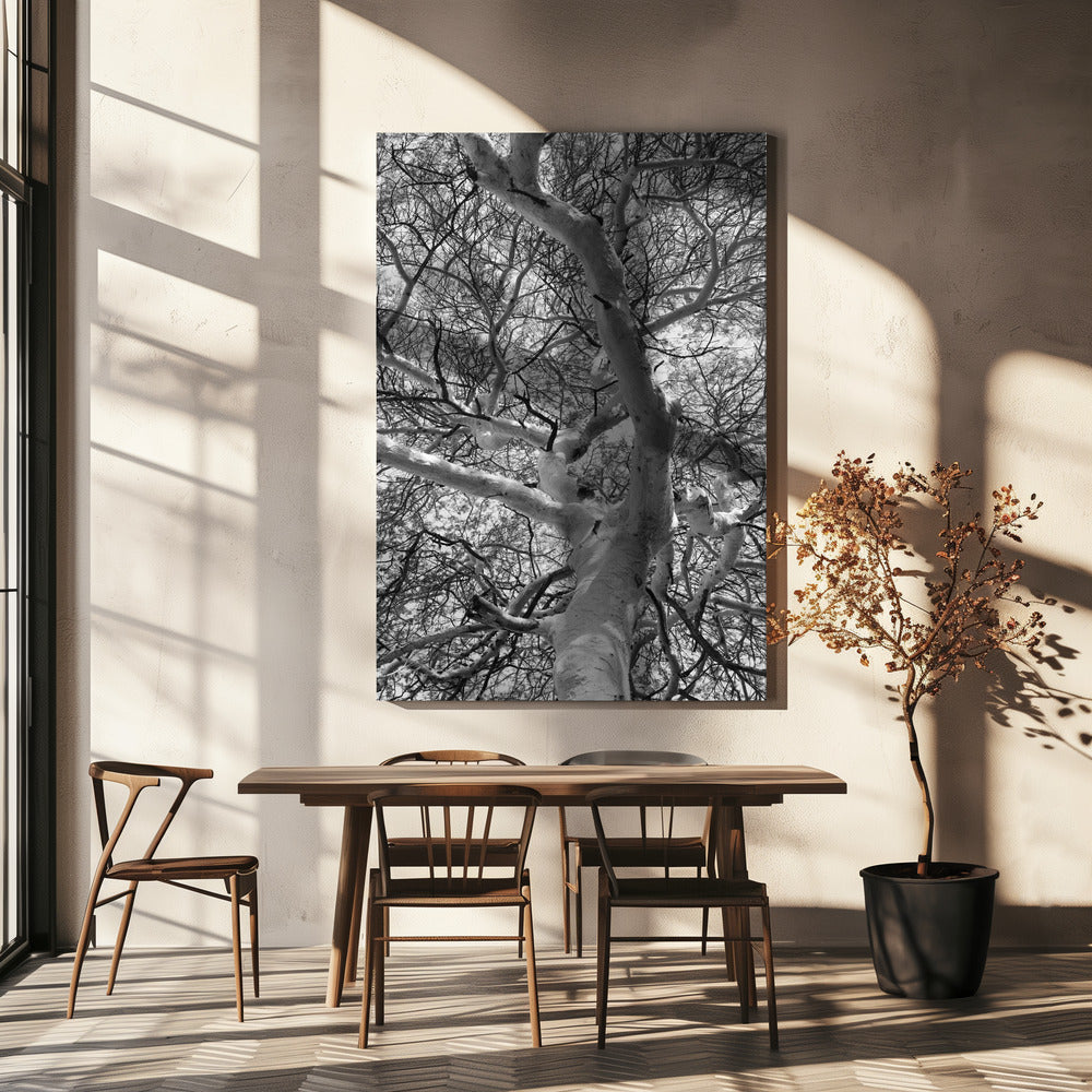 Silhouet Luifel | Canvas