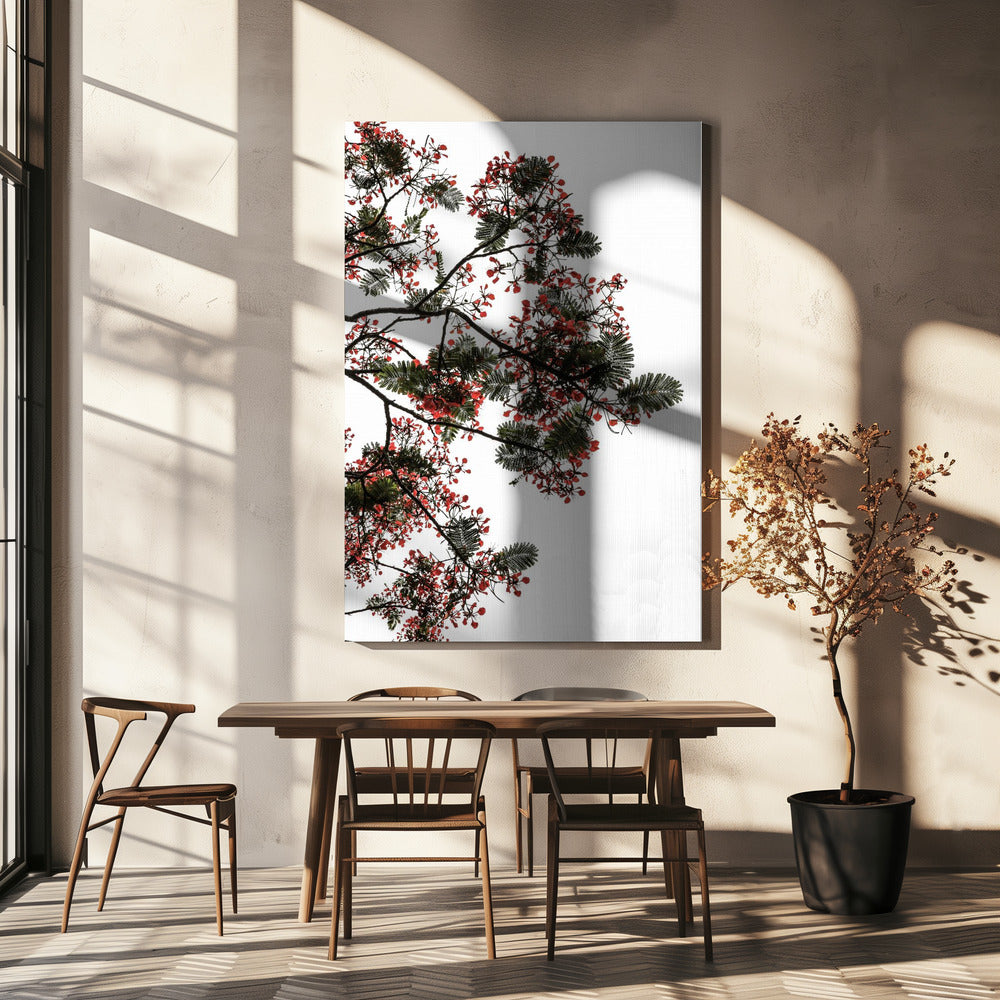 Bloesemluifel | Canvas