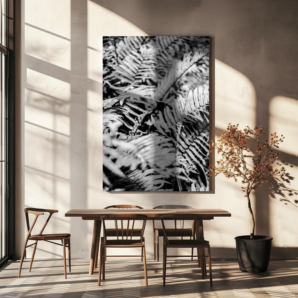Fluisterende Varens | Canvas
