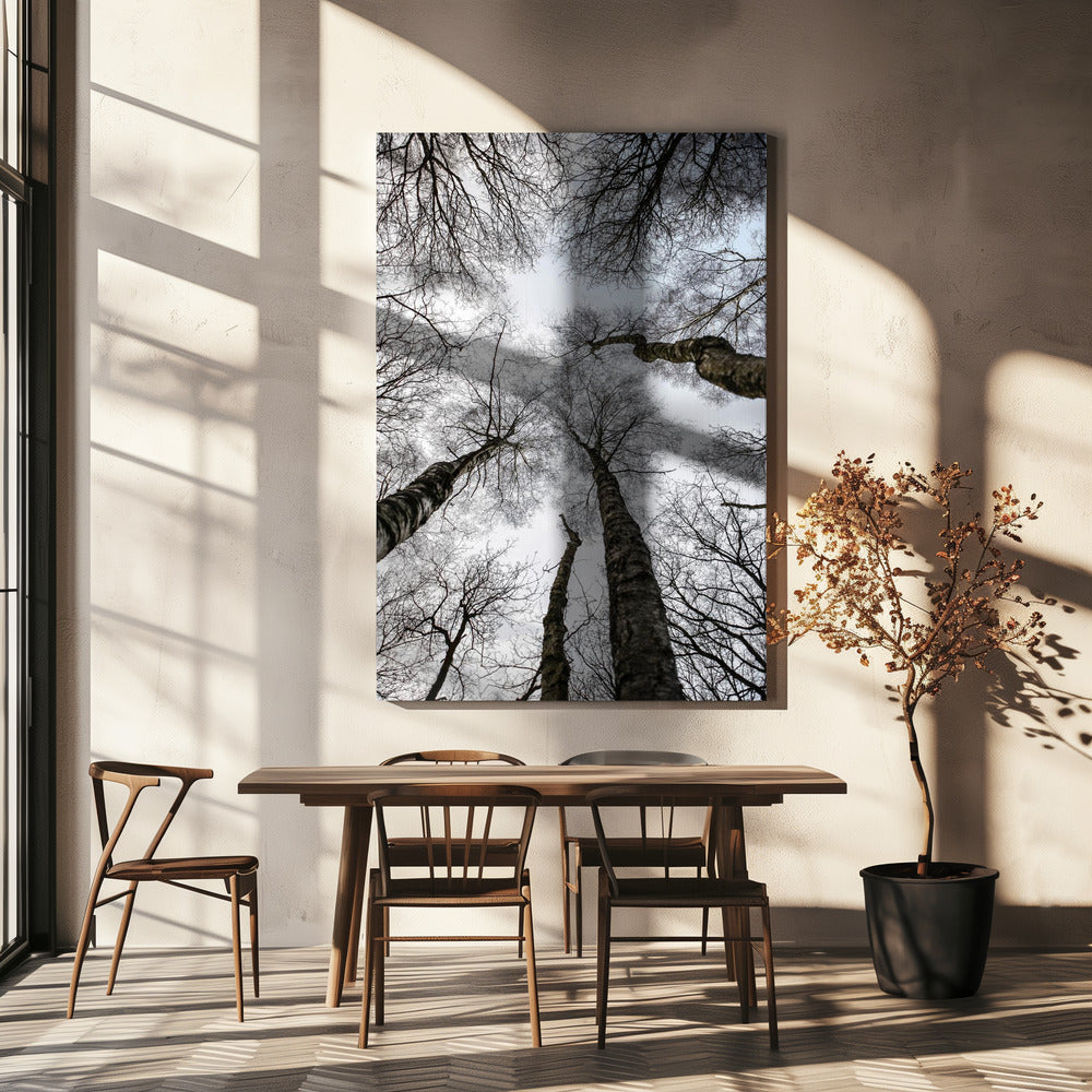 Winter's Omhelzing | Canvas