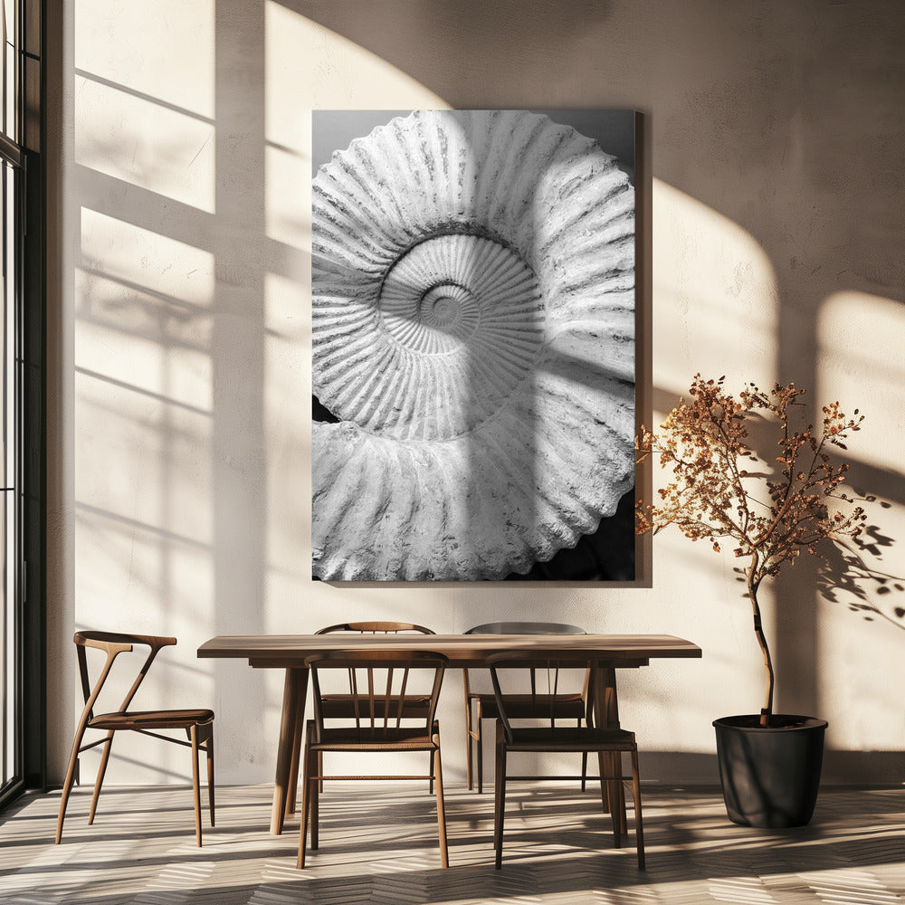 Oude spiraaldromen | Canvas