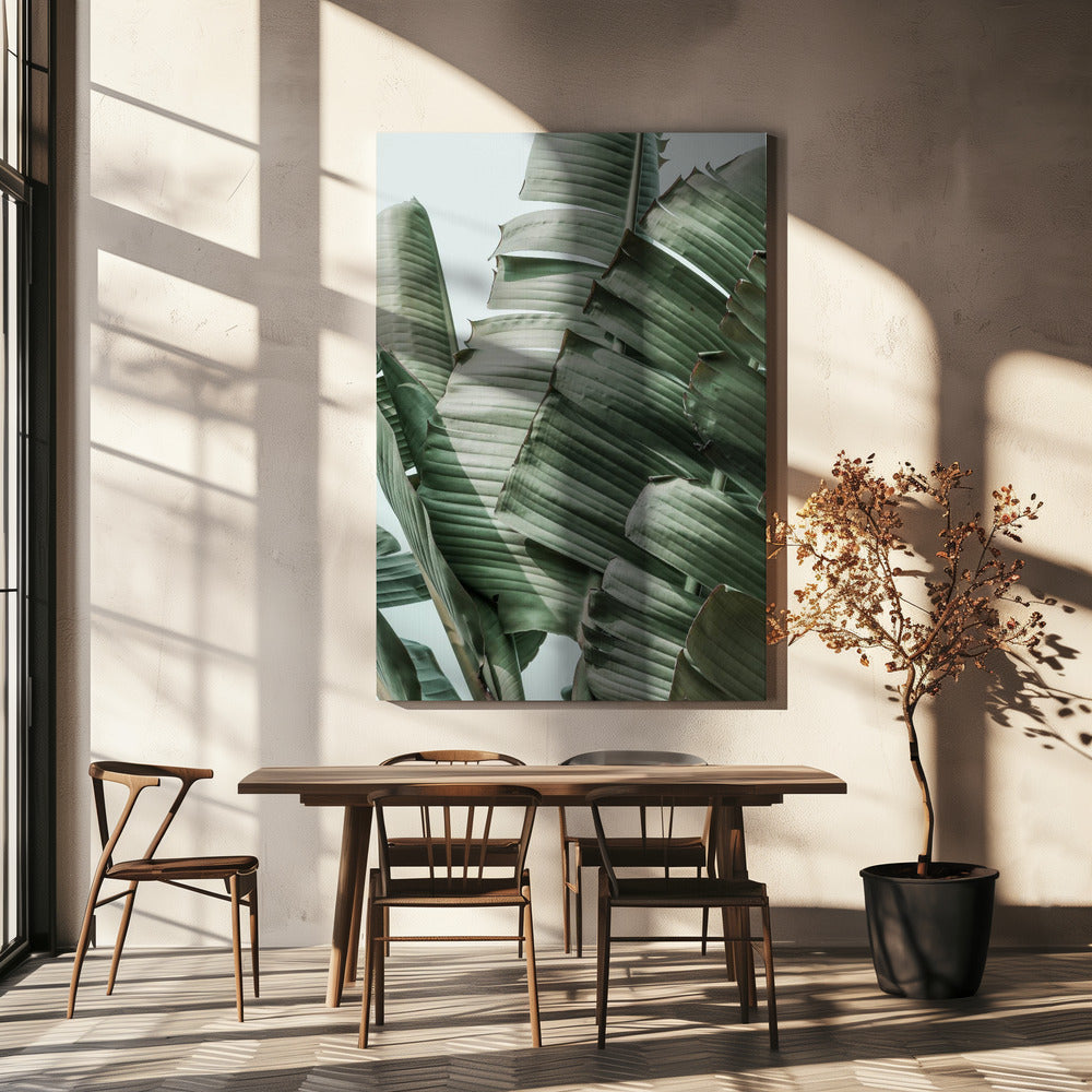 Harmonie van bananenbladeren | Canvas