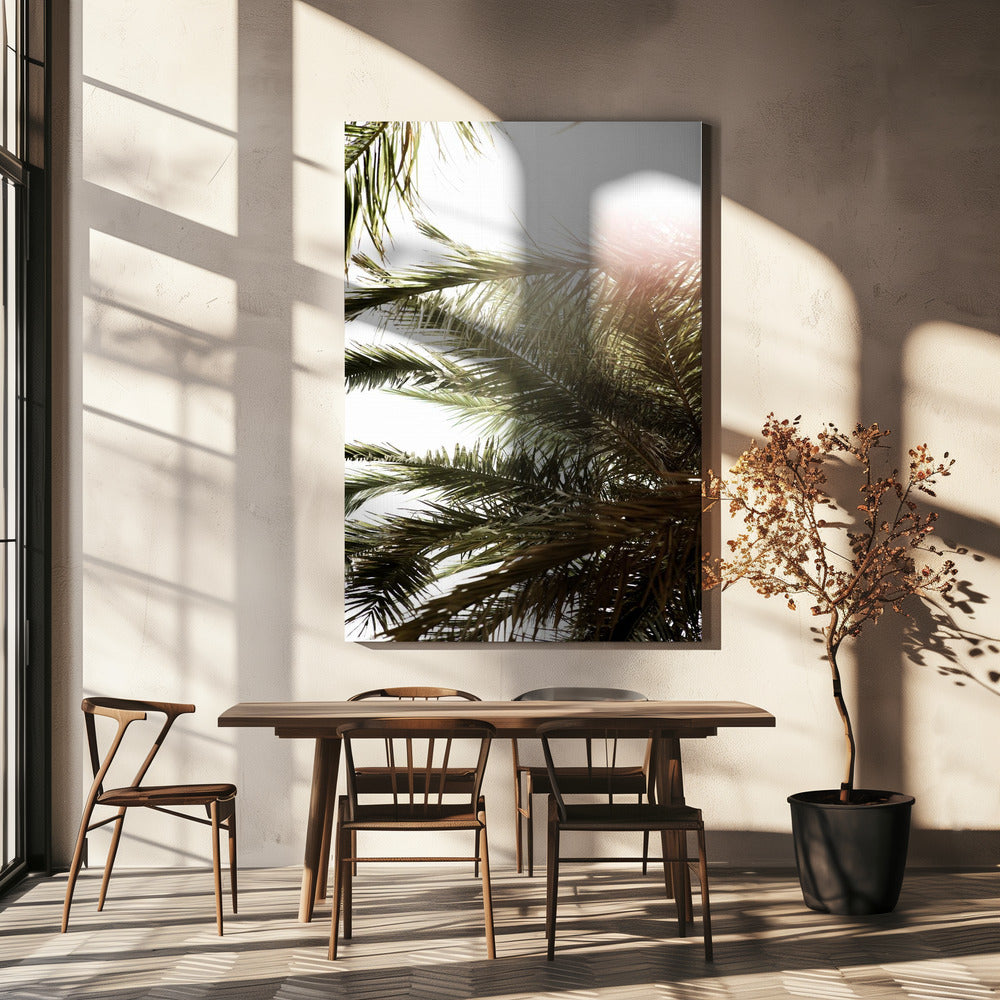 Sunlit Palm Glow | Canvas