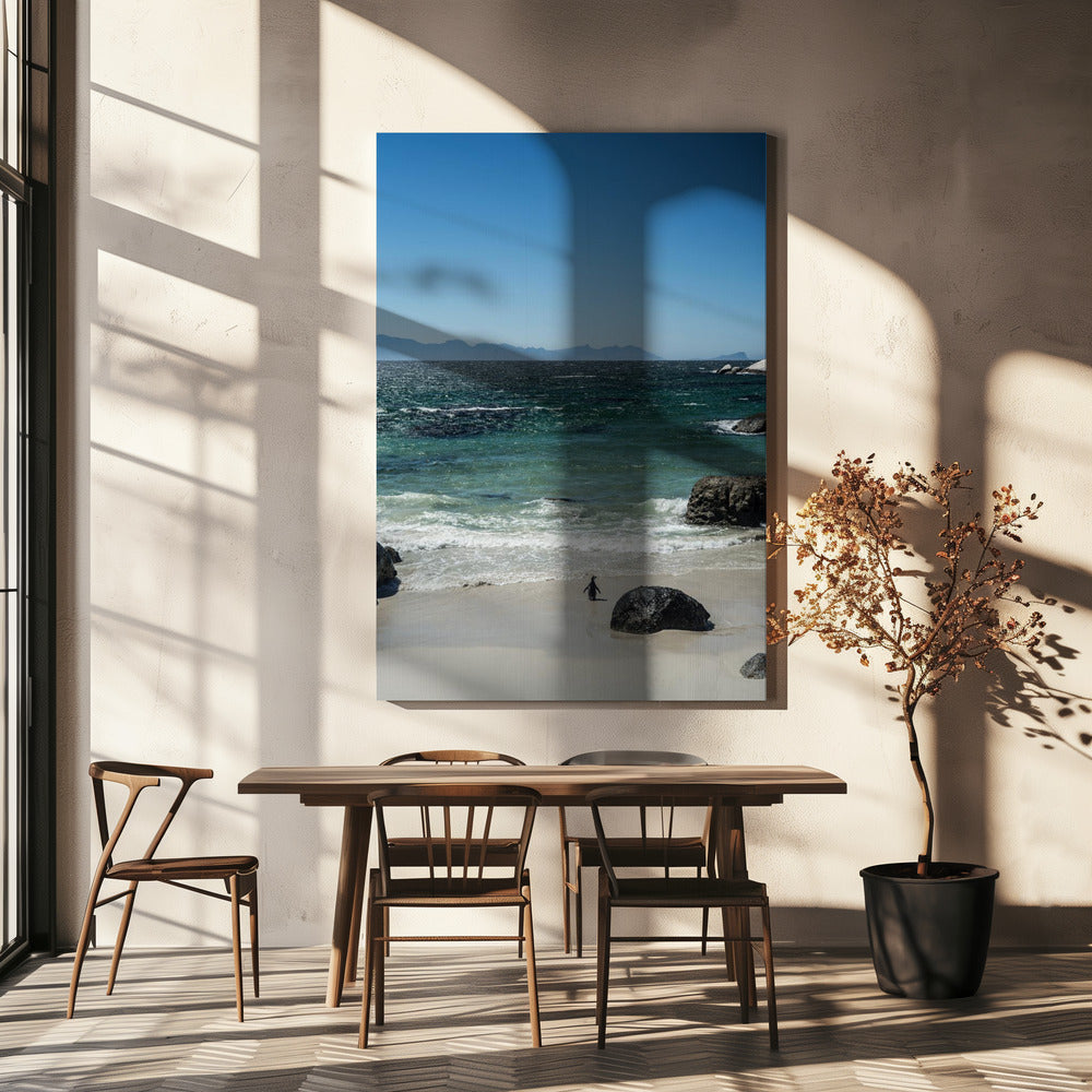 Pinguïnstrandwandeling | Canvas