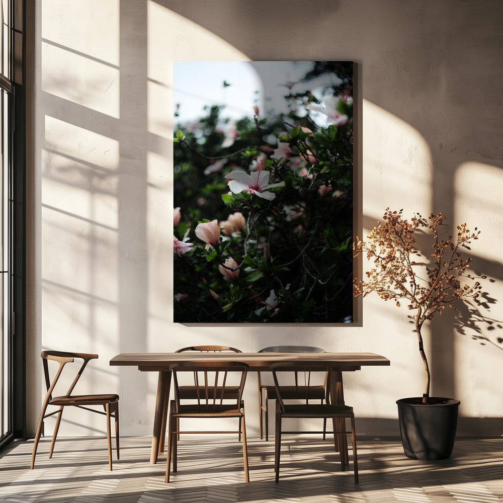 Bloeiende bloesems | Canvas