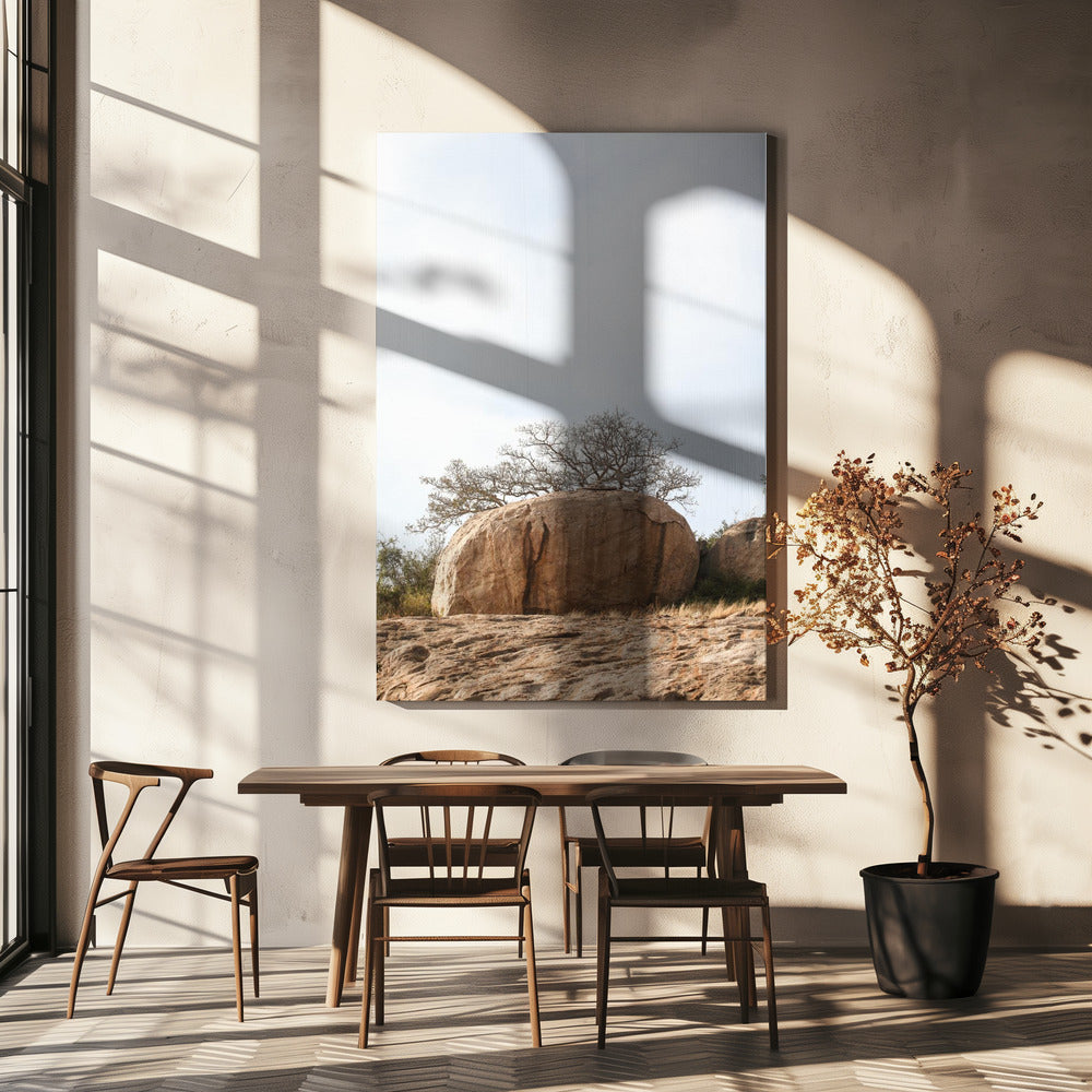 Tree on a Boulder | Canvas