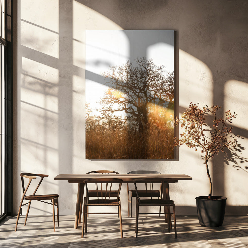 Zonovergoten silhouet | Canvas