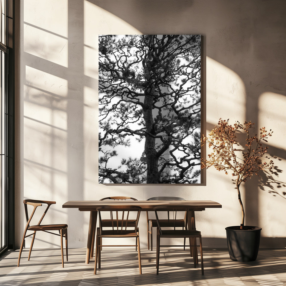 Silhouet van een draaiende boom | Canvas