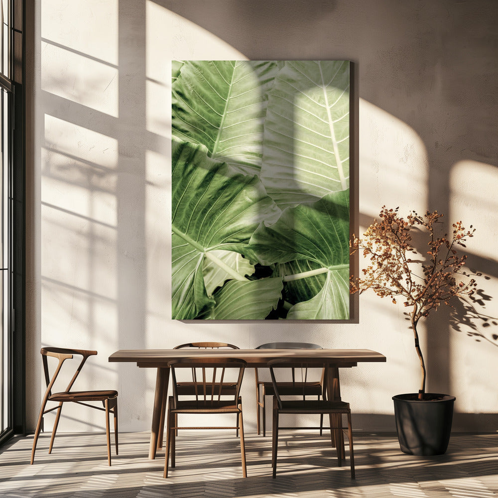 Groen gebladerte | Canvas