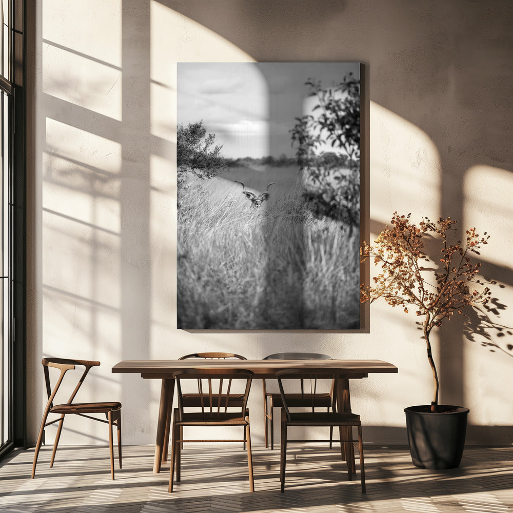 Verborgen in het gras | Canvas