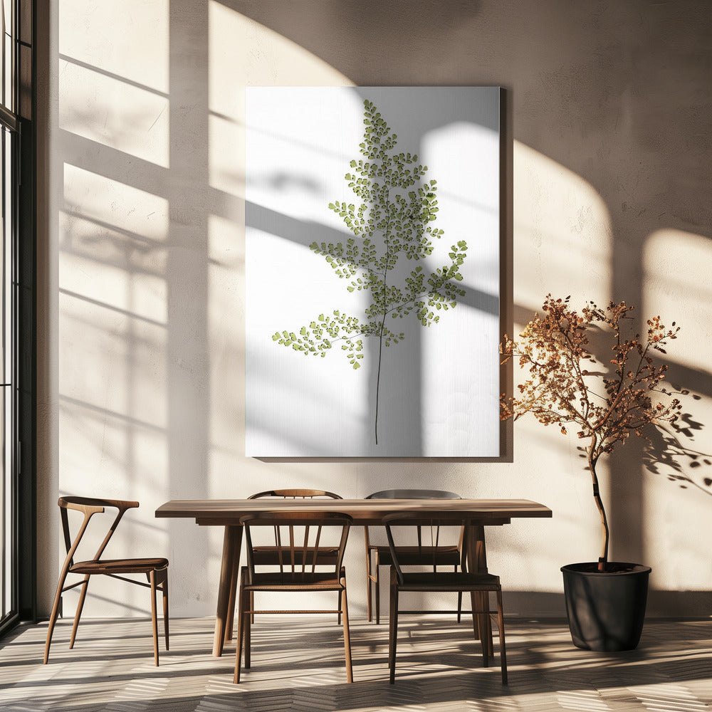 Varen Elegantie | Canvas