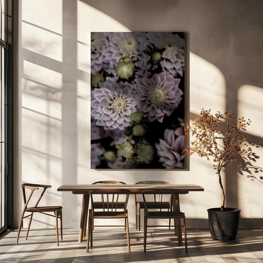 Bloeiende bloemblaadjes | Canvas