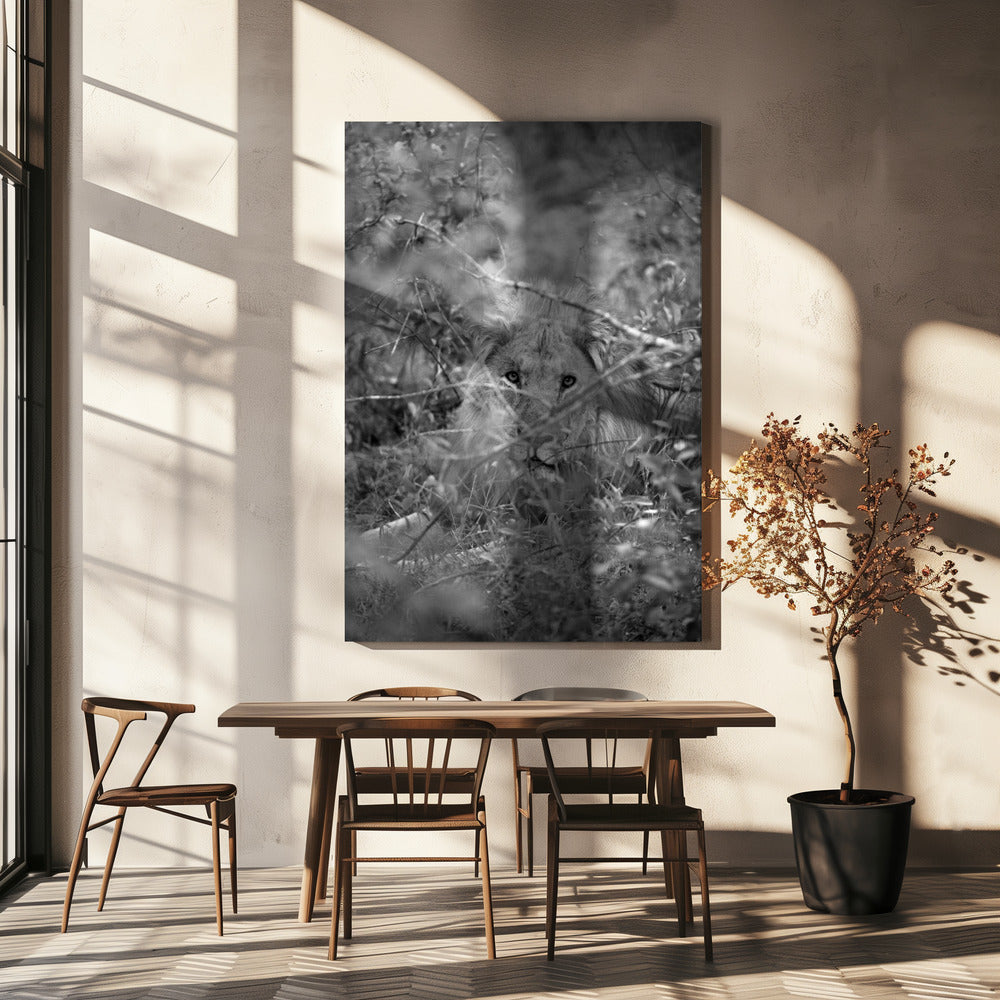 Verborgen Majesteit | Canvas