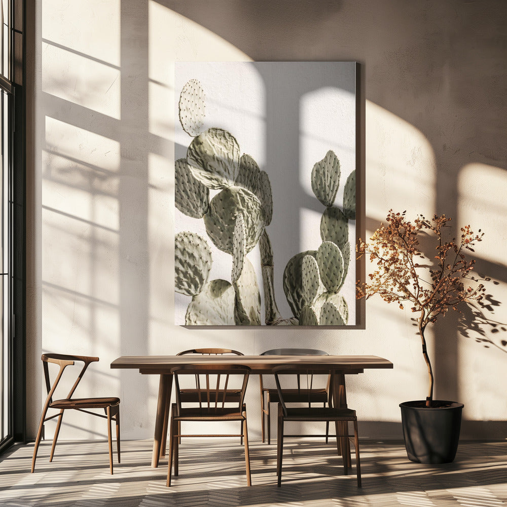 Cactus Sereniteit | Canvas