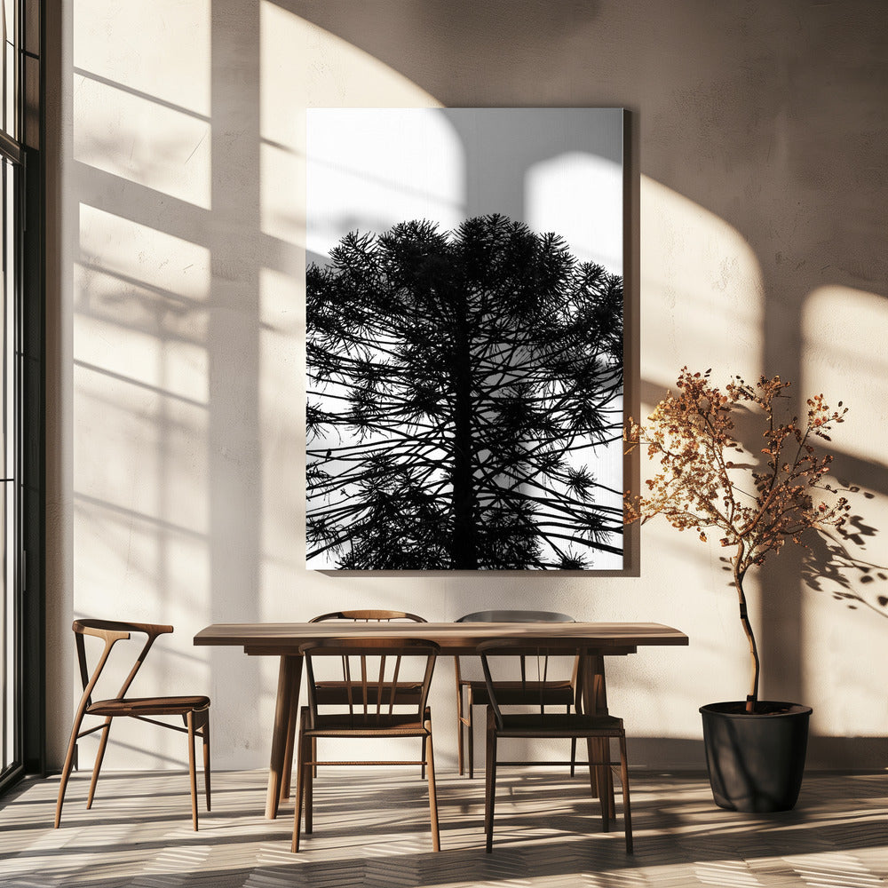 Silhouetted Symmetry | Canvas