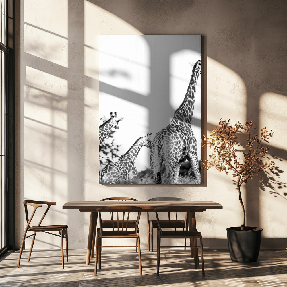 Wandeling met giraffenfamilie | Canvas