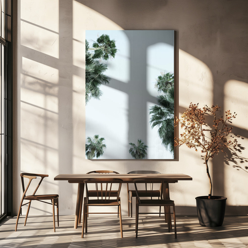 Palmboom Sereniteit | Canvas