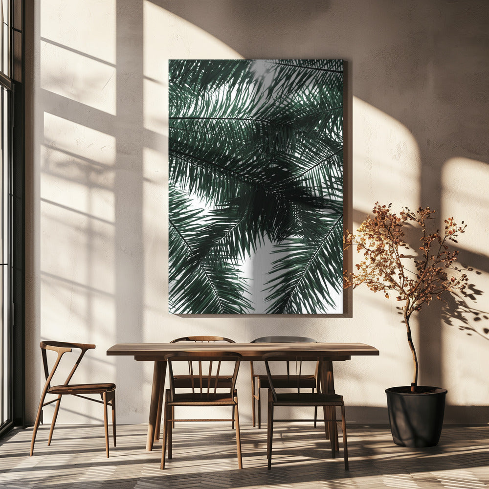 Zonovergoten palmenluifel | Canvas